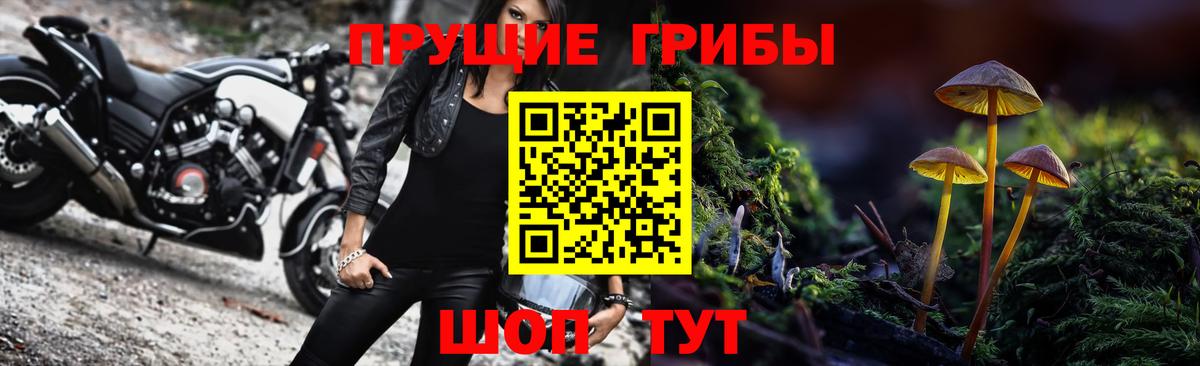 Ялта  Псилоцибиновые грибы MAGIC MUSHROOMS  Вход с VPN 